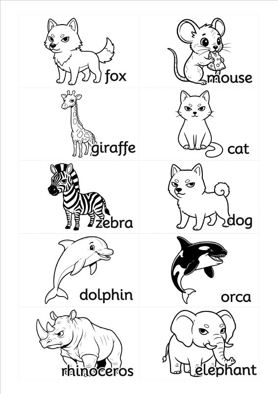 英単語カード（動物）