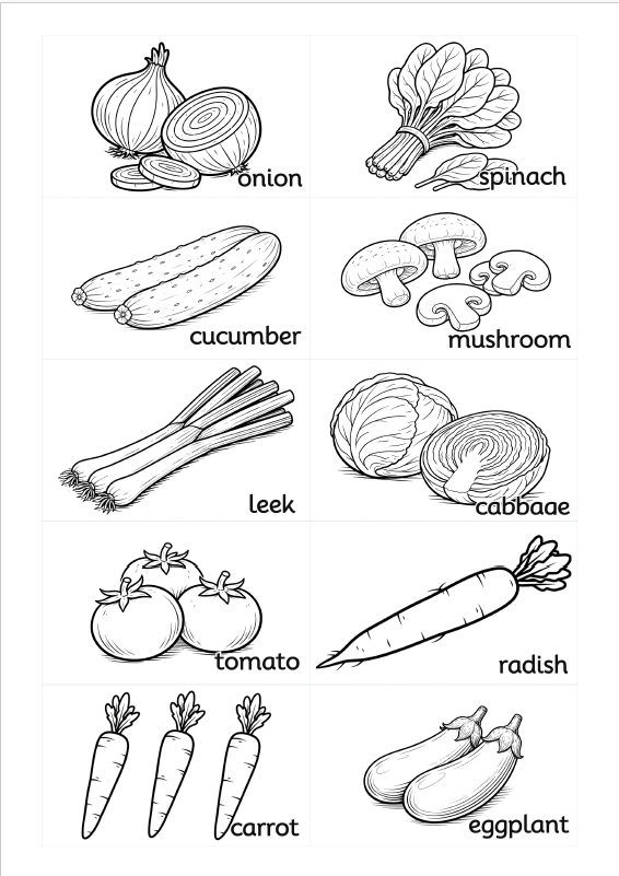 英単語カード（野菜）